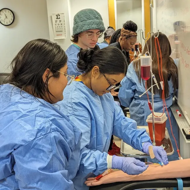 Students practicing phlebotomy